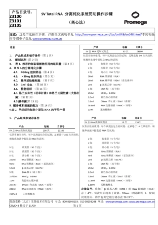 PromegaRNA试剂盒