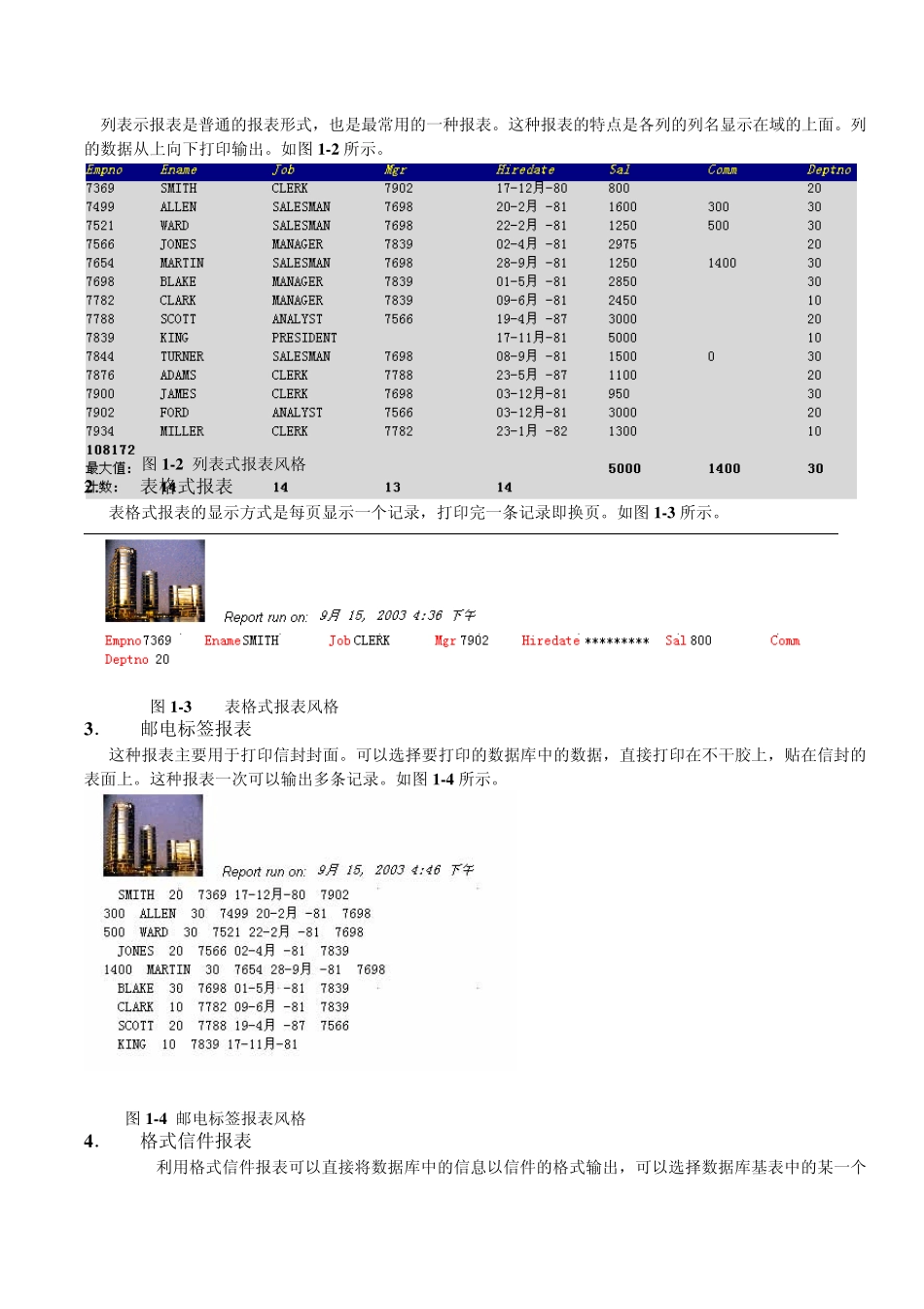 Report_Builder教案_第2页