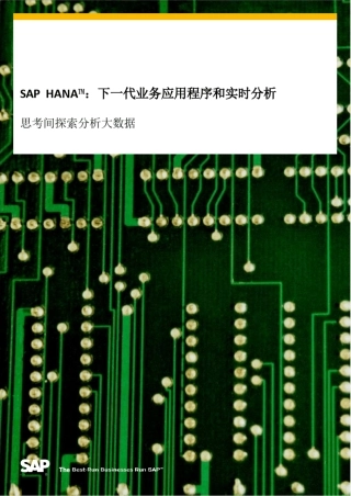 SAP+HANA白皮书