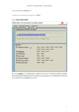 SAP会计科目自动分配配置大全