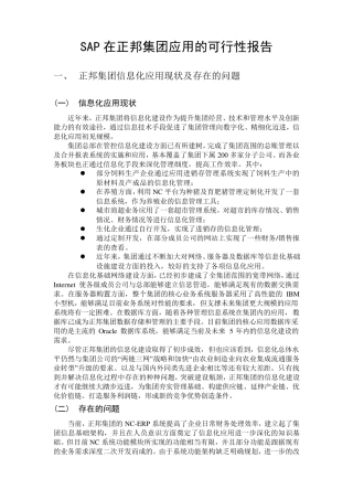 SAP可行性报告