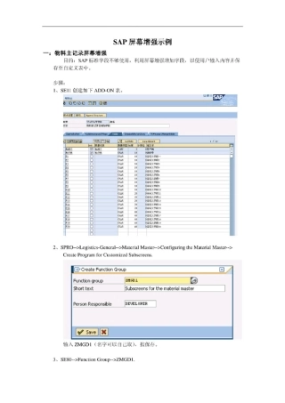SAP屏幕增强示例