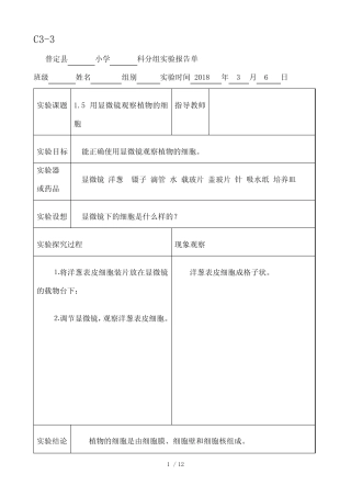 新科教版六年级科学下册实验报告单
