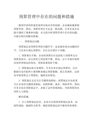 预算管理中存在的问题和措施