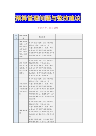 预算管理问题与整改建议