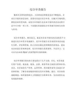 综合审查报告