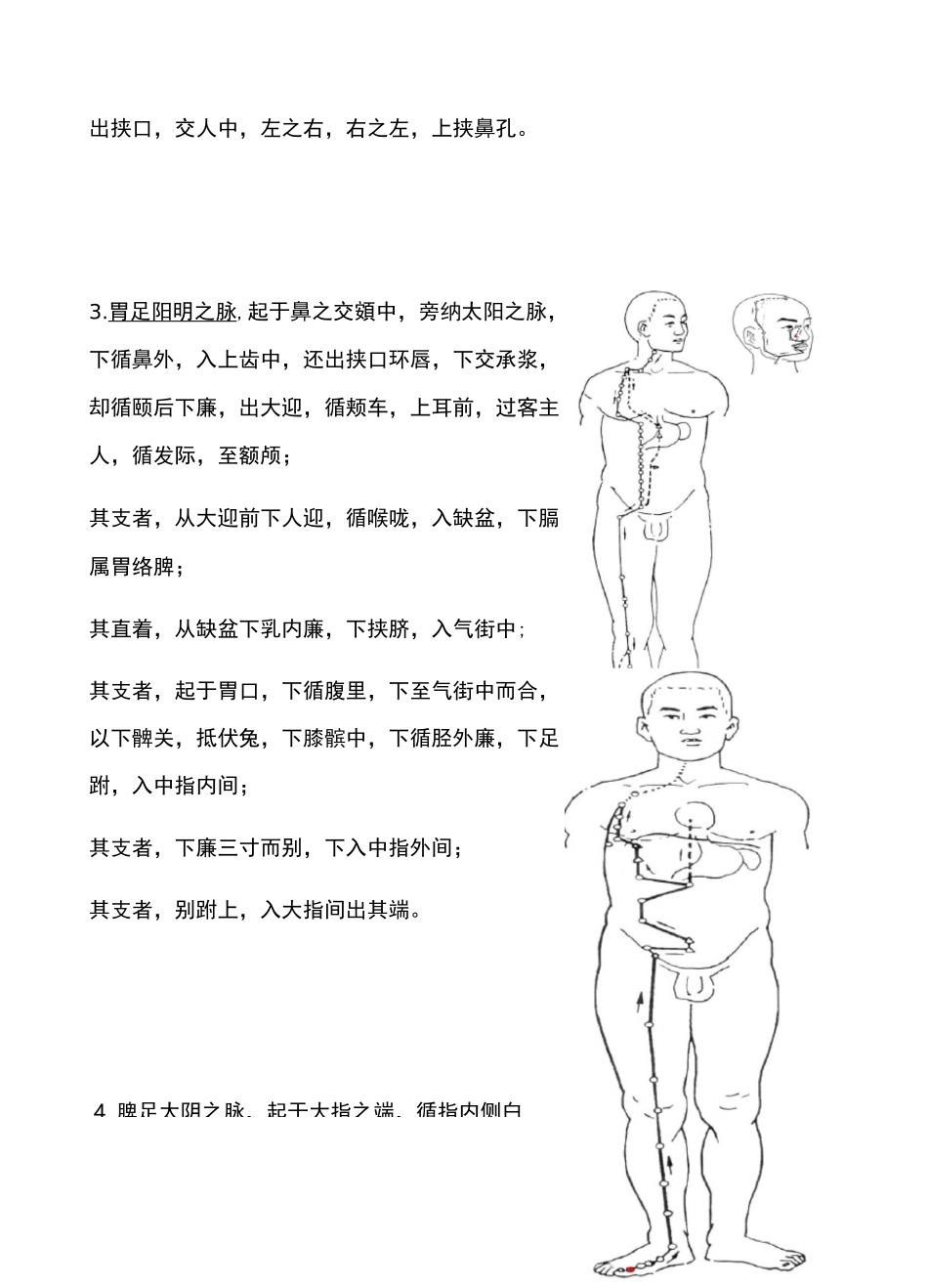 十二经脉循行_第2页