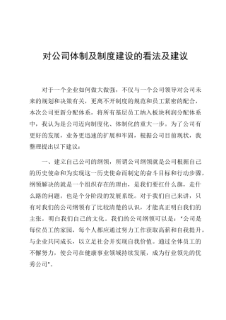 对公司体制及制度建设的看法及建议