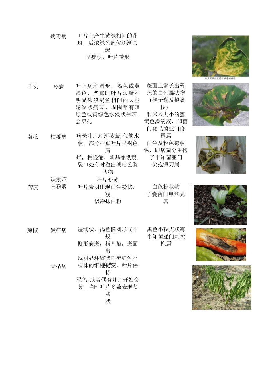 植物病害名录_第3页