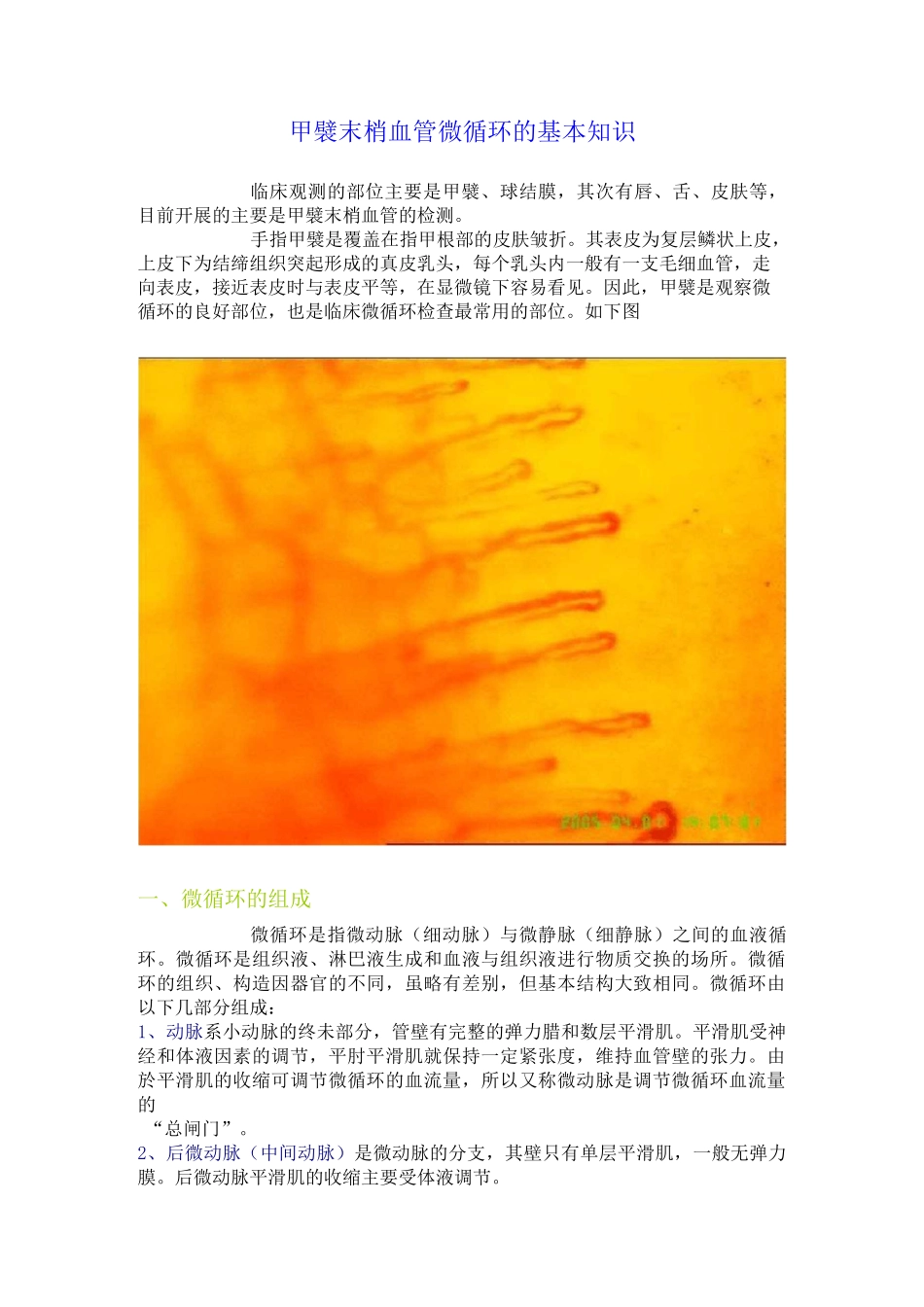 甲襞末梢血管微循环的基本知识_第1页