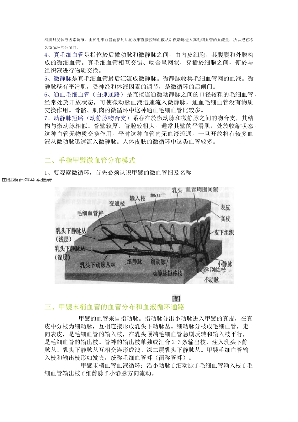 甲襞末梢血管微循环的基本知识_第3页