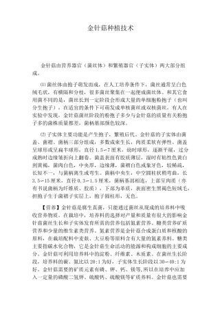 金针菇种植技术