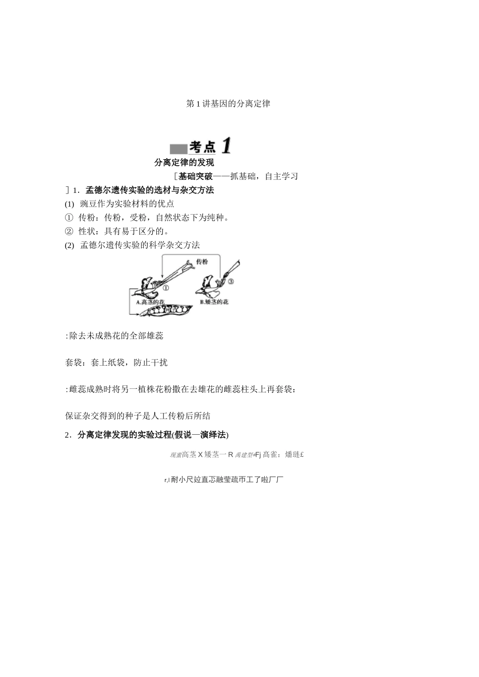 基因的分离定律_第1页