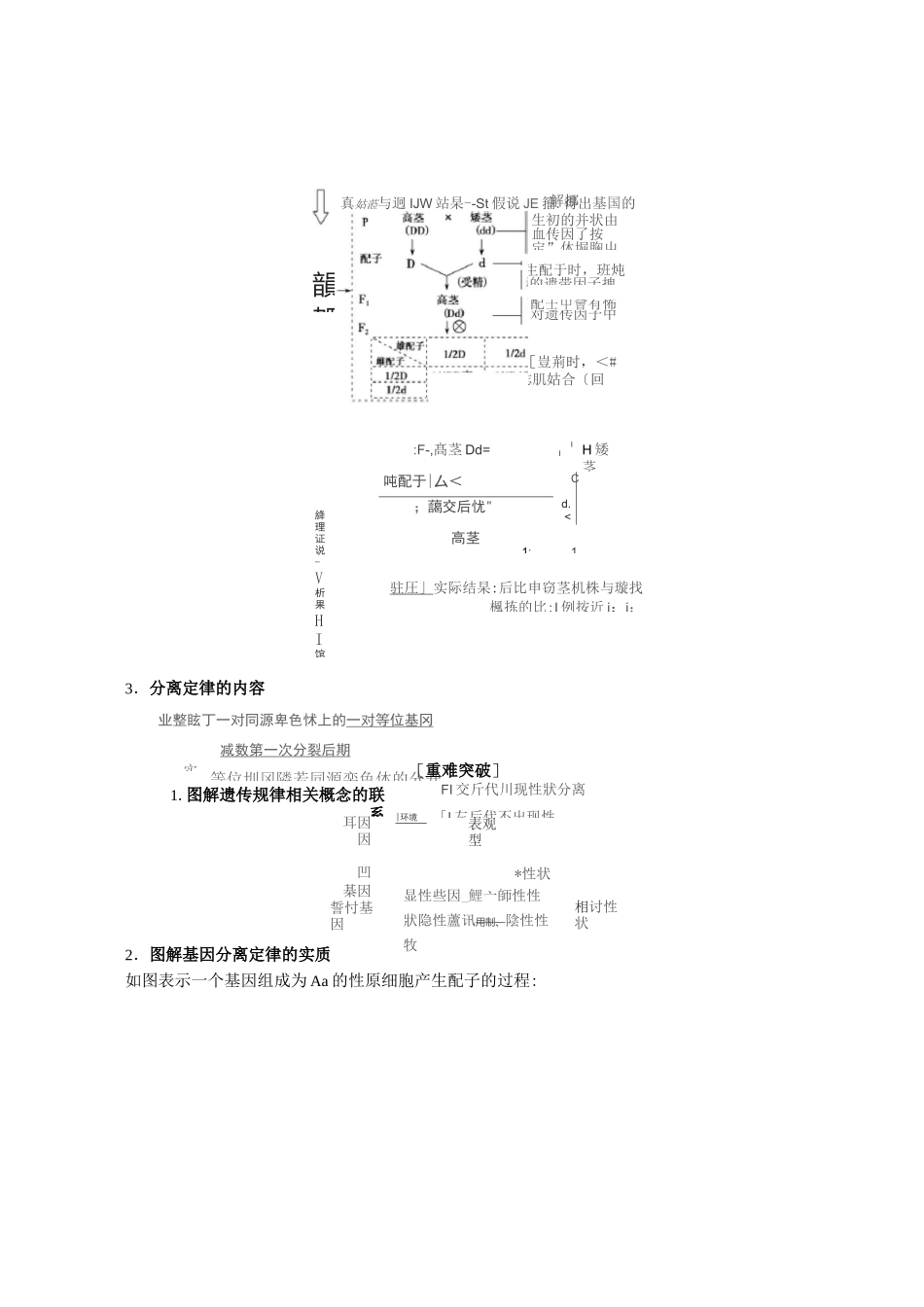 基因的分离定律_第2页