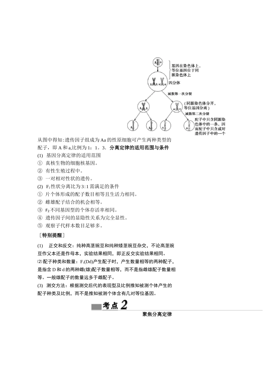 基因的分离定律_第3页