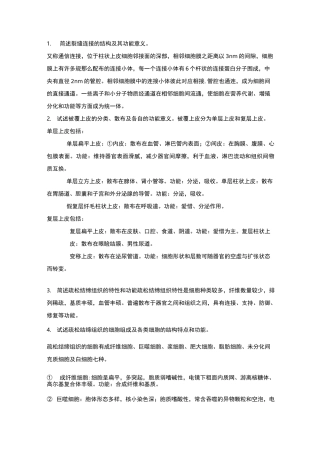 组胚简答题(终)