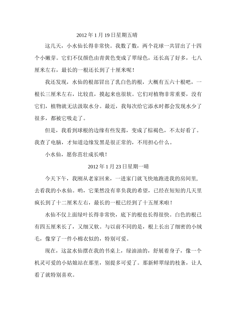 水仙花生长观察日记(附图、原创)_第2页