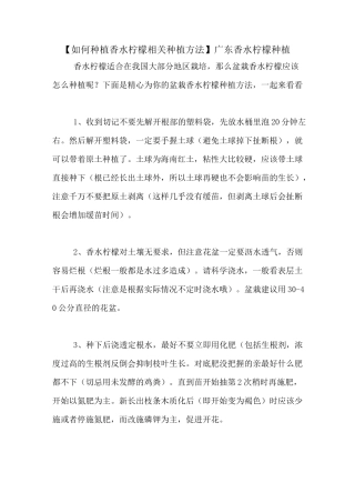 【如何种植香水柠檬相关种植方法】广东香水柠檬种植