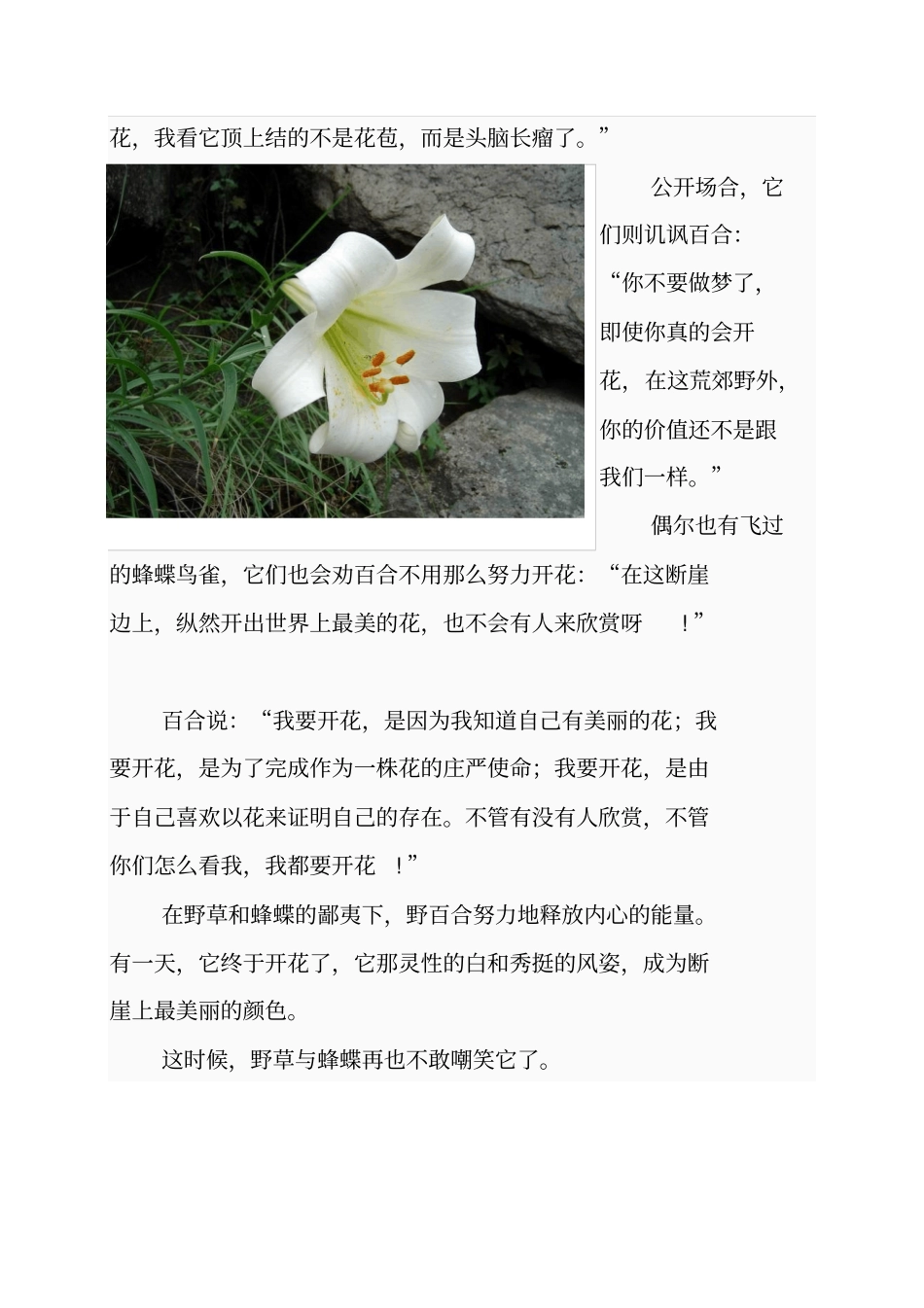 心田上百合花__________林清玄应用_第2页