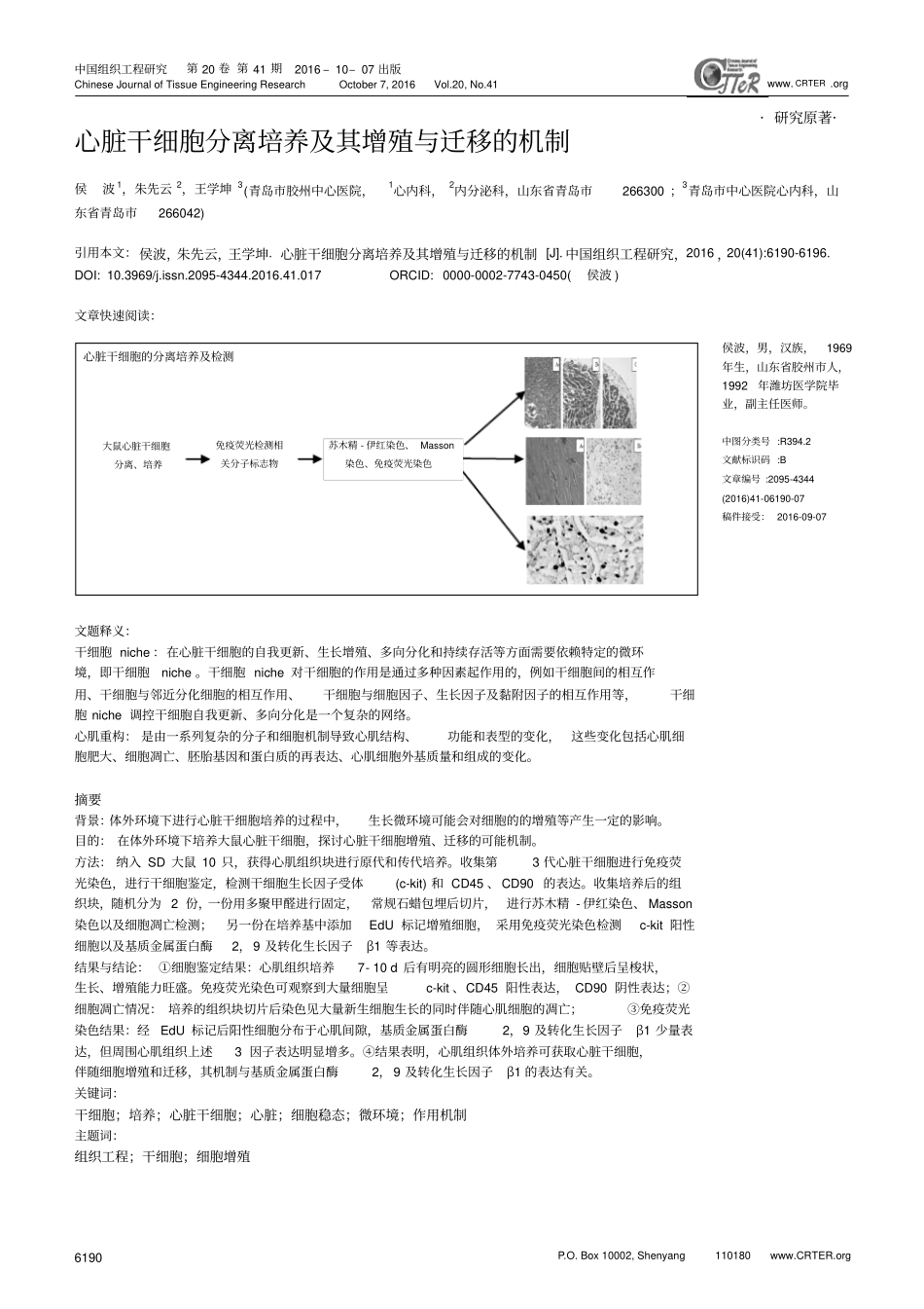 心脏干细胞分离培养及其增殖与迁移的机制汇总_第1页