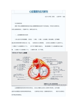 心脏瓣膜的应用解剖
