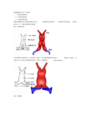 心脏的胚胎发育汇总