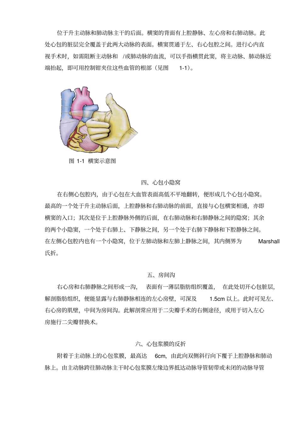 心血管解剖定_第2页