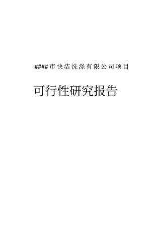 快洁洗涤有限公司项目投资可行性报告
