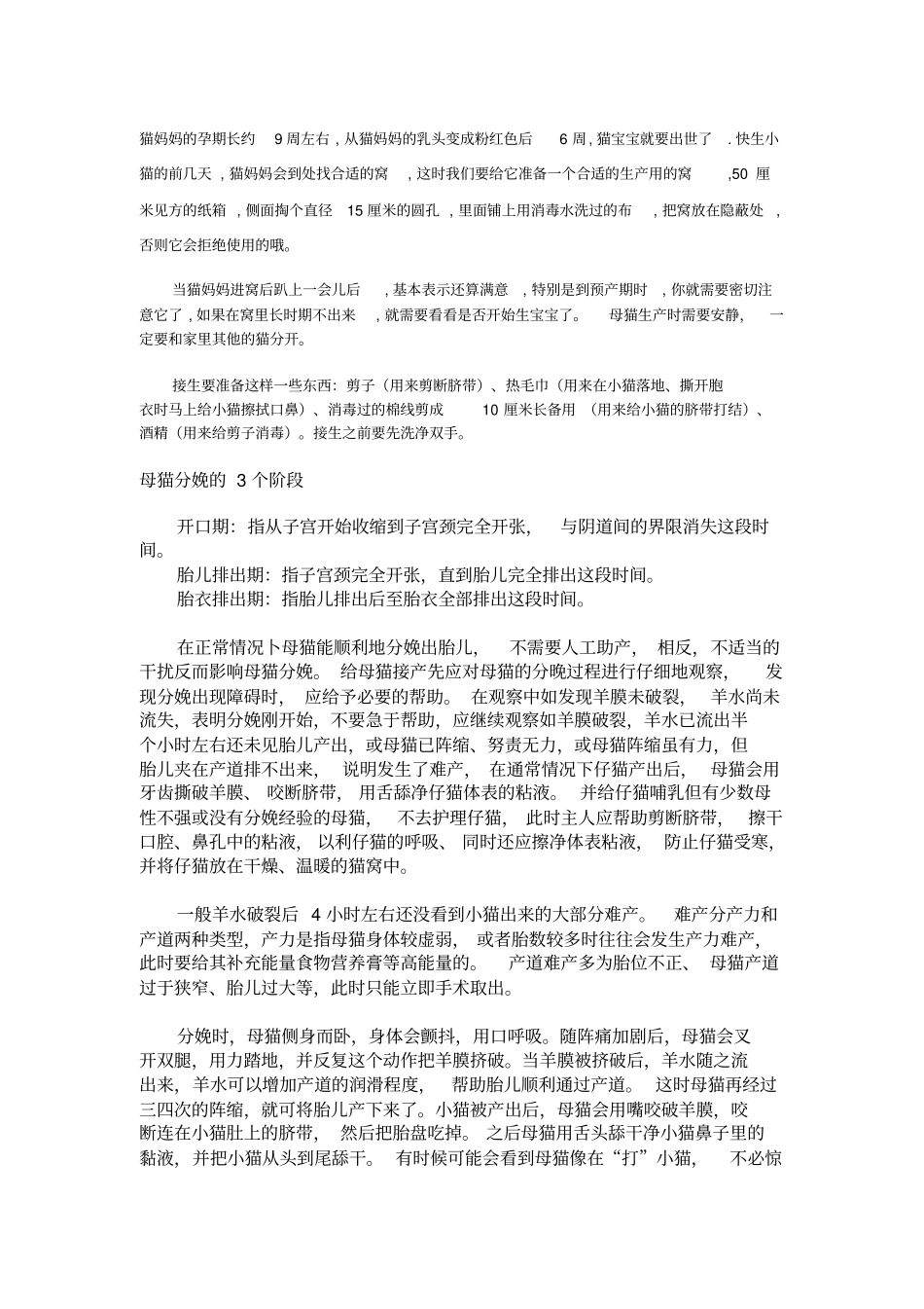 怎样给猫接生全套攻略_第1页