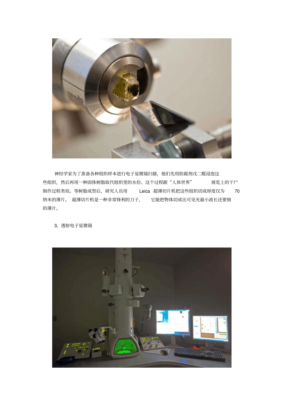 怎样用电子显微镜描绘神经回路_第3页
