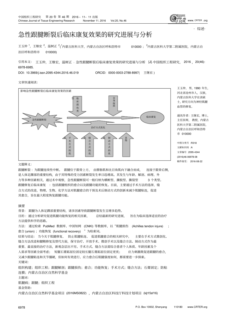 急性跟腱断裂后临床康复效果的研究进展与分析汇总_第1页