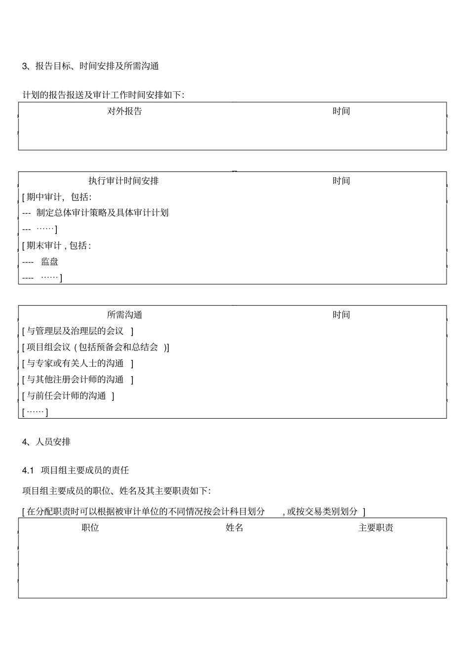 总体审计策略_第2页