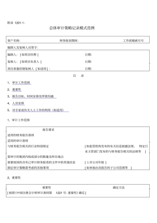 总体审计策略