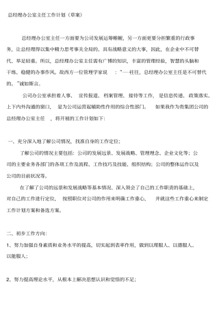 总经理办公室主任工作计划