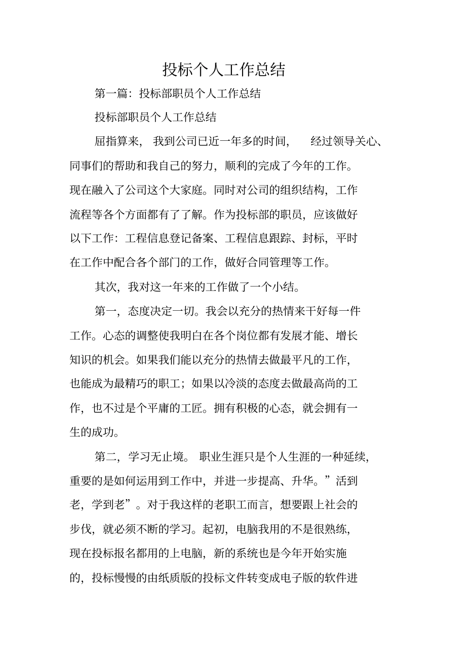 总结范文：投标个人工作总结_第1页