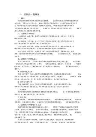 总额预付制概况