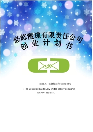 悠悠慢递有限责任公司可行性研究报告