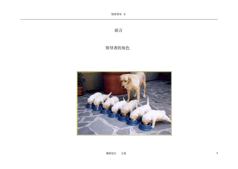 情景领导II学员教材重点讲义资料_第3页