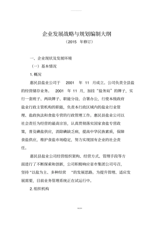 惠民盐业企业发展战略与规划编制大纲2012020