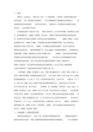 慢病毒载体构建步骤研究