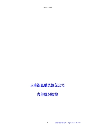 云南浙温融资担保公司内部组织结构