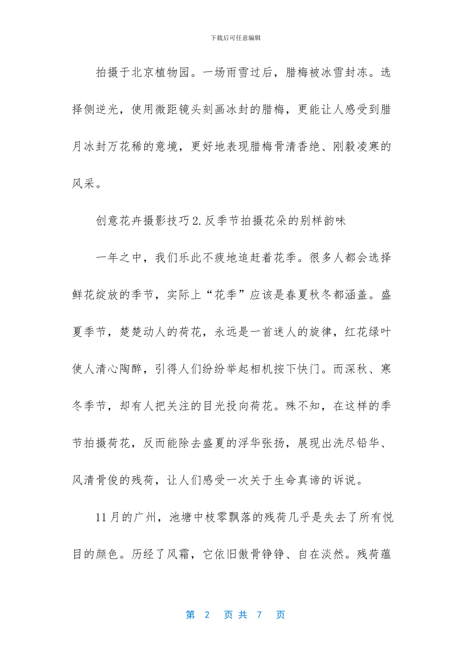 五个创意花卉摄影技巧-花卉摄影技巧_第2页