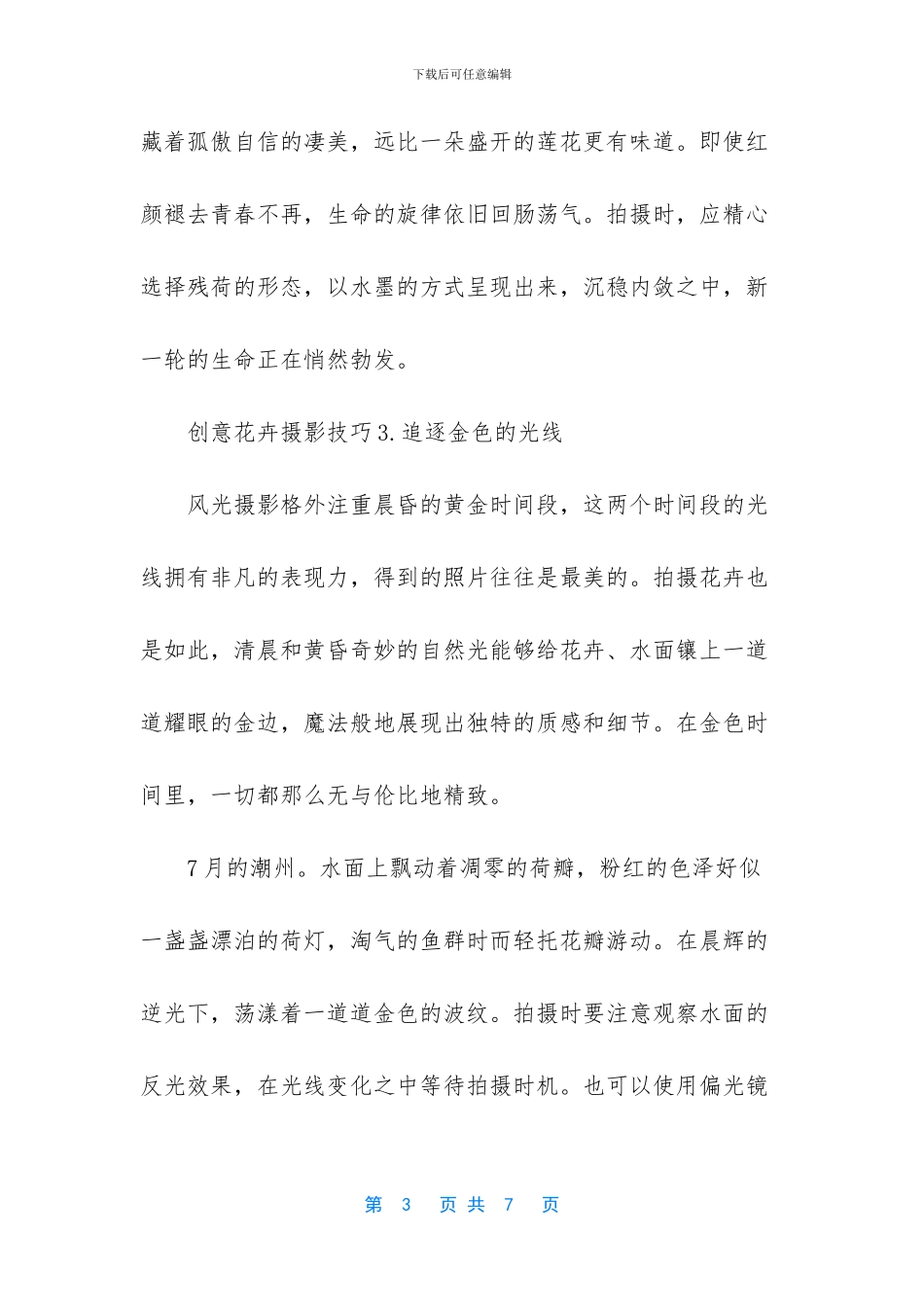 五个创意花卉摄影技巧-花卉摄影技巧_第3页