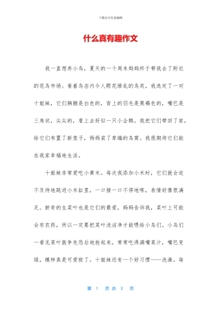 什么真有趣作文