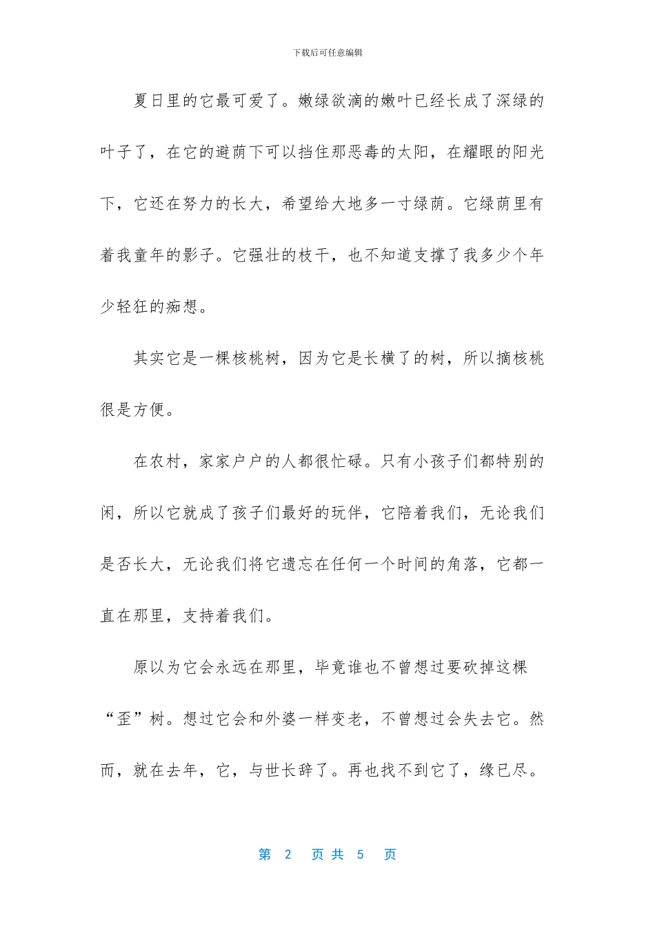 以路为话题的作文初三-那人那树那路初三作文_第2页