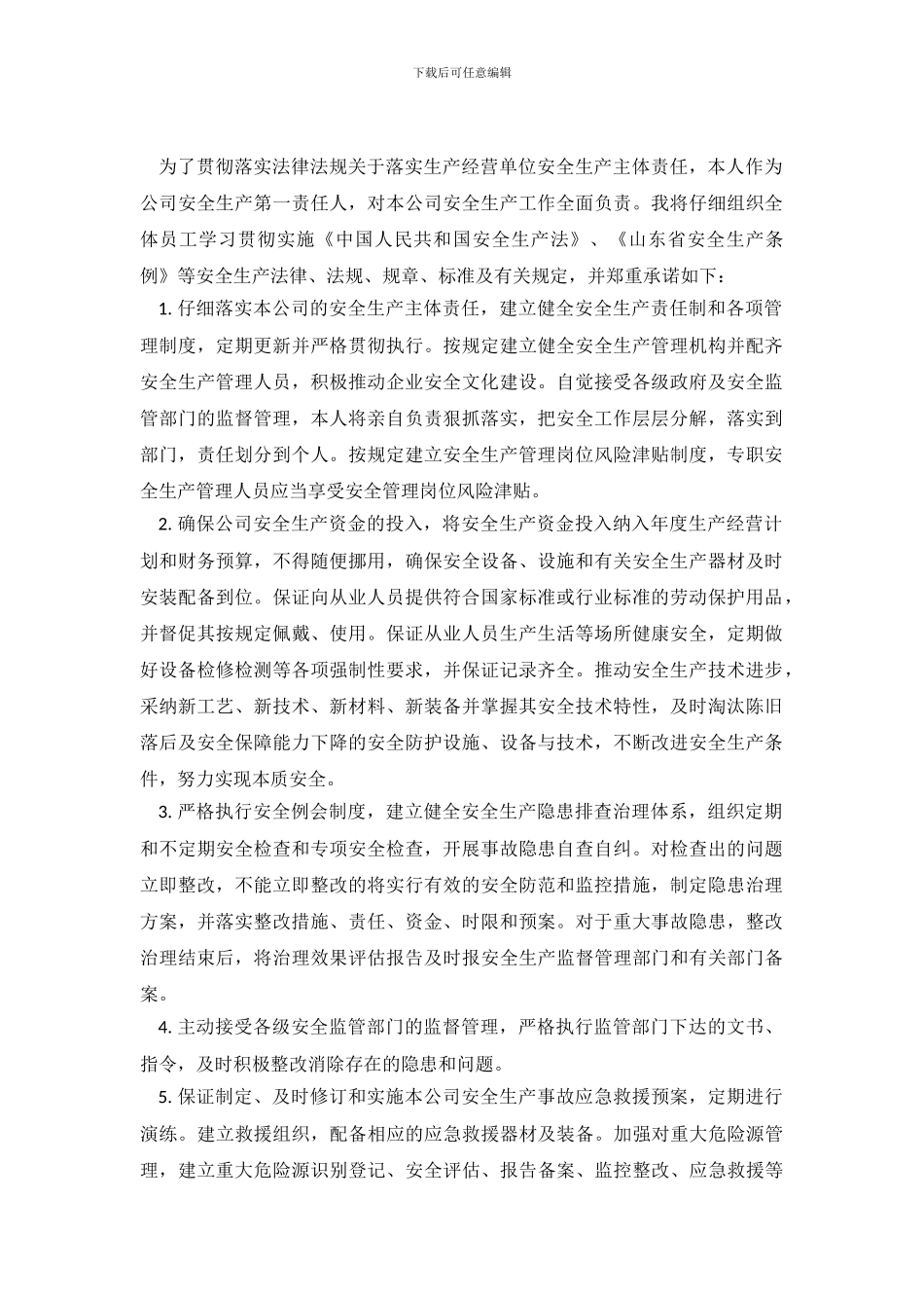 企业主要负责人安全生产承诺书_第2页