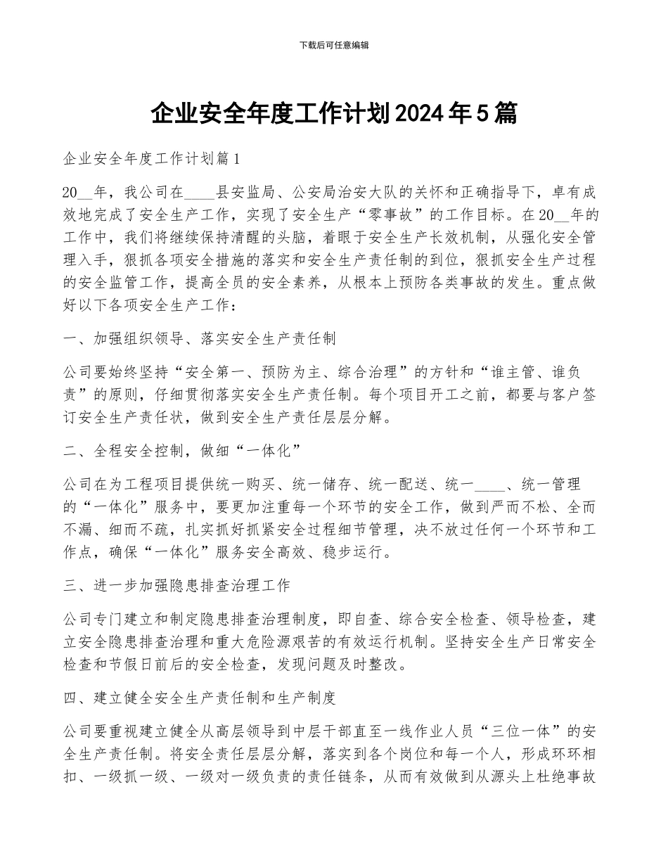 企业安全年度工作计划2024年5篇_第1页