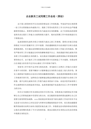 企业新员工试用期工作总结