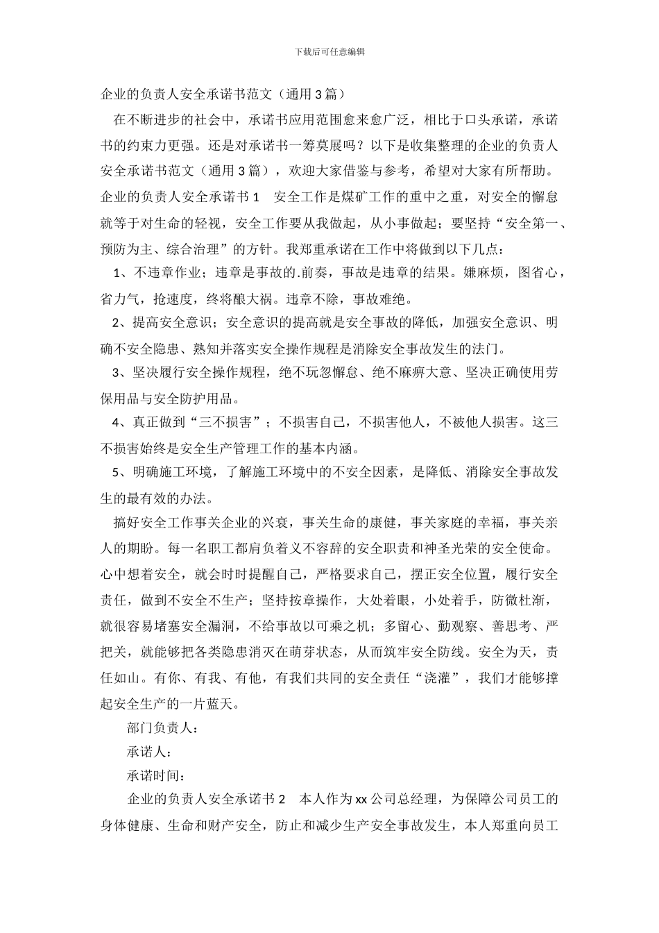 企业的负责人安全承诺书_第2页