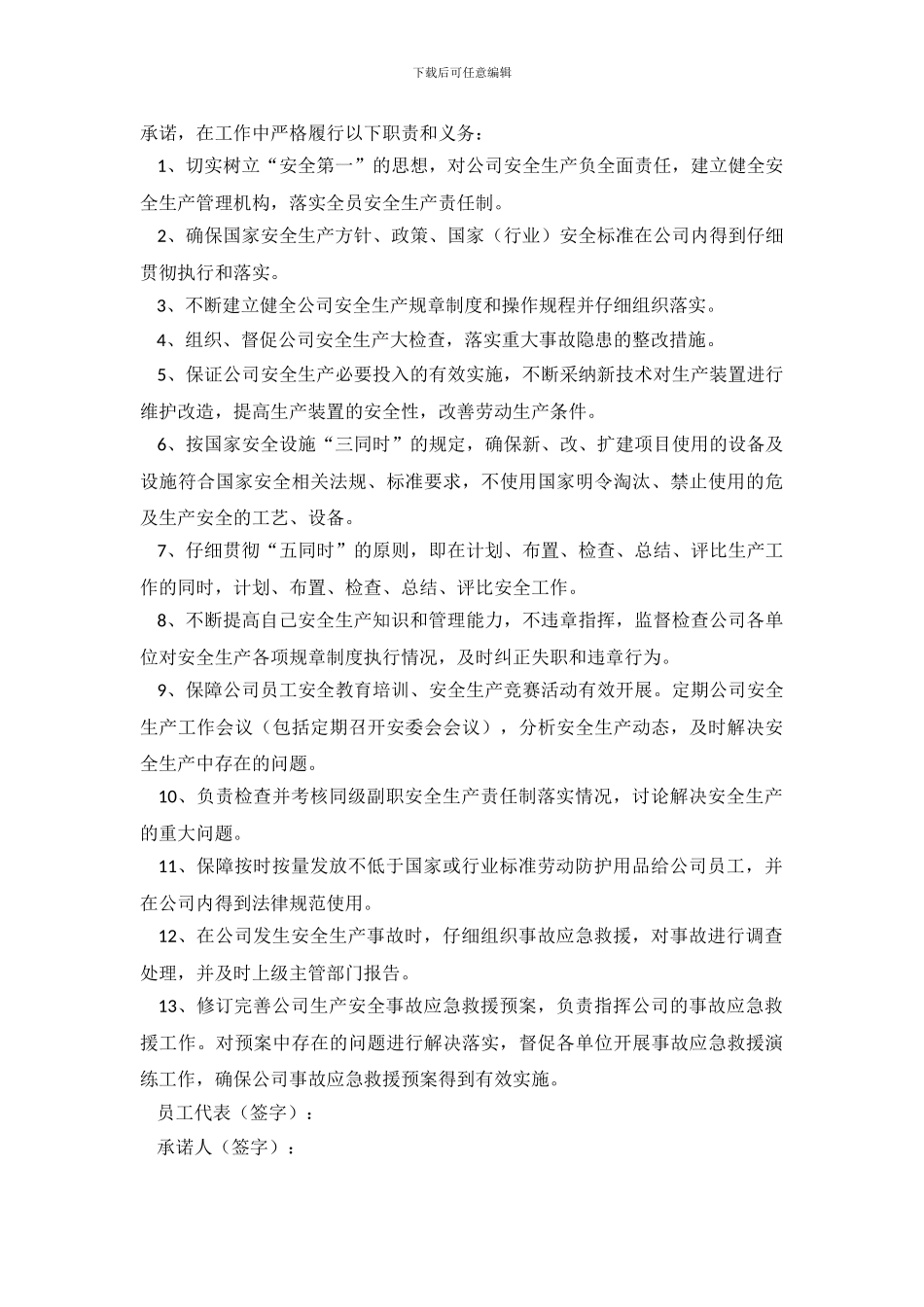 企业的负责人安全承诺书_第3页